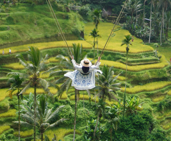 Ubud Tour Travel