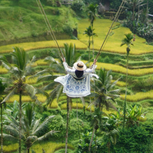 gvd-tegallalang-rice-terrace