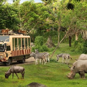 gvd-Bali-Safari-Marine-Park-1