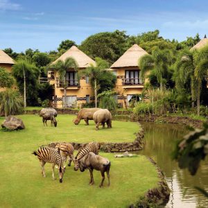 gvd-Bali-Safari-Marine-Park-2